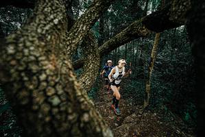 BIB: 
                            <button type="button" onclick="openModal(25695669)" class="btn btn-primary btn-sm float-right btn-popup" data-toggle="modal" data-target=".modal-high-quality">
                        <i class="fas fa-shopping-cart"></i> Add to Cart
                    </button>
                                            <button type="button" onclick="isThisMe(25695669, true)" class="btn btn-success btn-sm float-right btn-popup btn-isme hidden" data-toggle="tooltip" data-placement="bottom" title="นี่คือรูปของคุณใช่ไหม คลิกที่นี่เพื่อเอาเข้าอัลบั้ม">
                        <i class="fas fa-plus"></i> Add to album
                    </button>
                    <button type="button" onclick="isThisMe(25695669, false)" class="btn btn-warning btn-sm float-right btn-popup btn-isnotme hidden">
                        <i class="fas fa-ban"></i> Remove from album
                    </button>